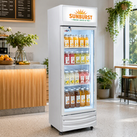 Vitrine Réfrigérée Commerciale à Refroidissement Direct Certifiée CE, Réfrigérateur Vertical à Porte Vitrée Simple pour Boissons, Métal et Marbre, pour l'Exportation