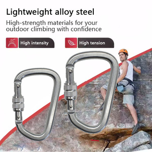 Jensan Nhà Máy Biểu Tượng Tùy Chỉnh Leo Núi Cắm Trại Leo Núi Kéo Vít Khóa 23 Kn D Hình Dạng Thép Carabiner Karabiner Móc - Product Image 5