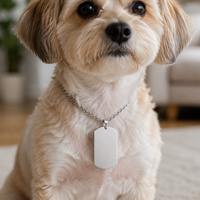 Plaques d'identification personnalisées pour animaux de compagnie en métal gravées au laser, avec logo sur mesure, en forme d'os et de chat, pendentifs pour collier de chien, vente en gros