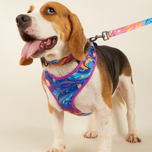 Harnais pour chien MIDEPET à motif personnalisé/logo bas quantité minimale de commande vente en gros laisse de collier de chien rembourré réglable sans traction - Product Image 4