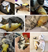 Chat Poisson Jouet Réaliste Floppy Poissons Chaton Cataire Peluche Simulation Jouets Interactifs Animaux À Mâcher Morsure Jouet pour Chats Chatons Kitty