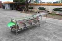 Groenten En Fruit Sorteermachine Avocado Fruit Sorteren Kalibrerende Machine Fruit Maat Klasse Machine Gemaakt In China
