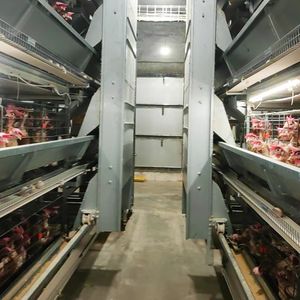 Yüksek kapasiteli h tipi tam otomatik pil tabakası kafes sistemi satılık galvanizli pilli tavuk kümes kafesi - Product Image 4