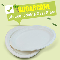 Assiette alimentaire ovale en bagasse de canne à sucre 10x8 pouces, compostable, portable, jetable, en pulpe durable, marron, produits en bagasse de canne à sucre
