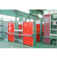 Système de cages à poules pondeuses entièrement automatique de type A en acier galvanisé avec collecte automatique des œufs et élimination du fumier pour élevage avicole commercial