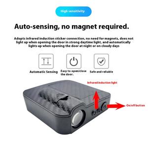Source Factory Carbon Fiber Pattern <b>Infrared</b> Door Induction Projection <b>Lamp</b> Welcome Logo Floor <b>Lamp</b> for Cars Auto Electronics - Product Image 4