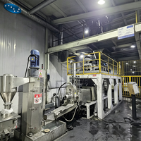 Machine de granulation automatique de masterbatch blanc, extrudeuse bivis, granulateur, ligne de production de granulés de masterbatch polymère coloré