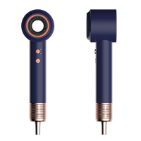 Sèche-cheveux professionnel ionique 110000 tr/min avec moteur AC, diffuseur et température constante pour soins capillaires à usage domestique