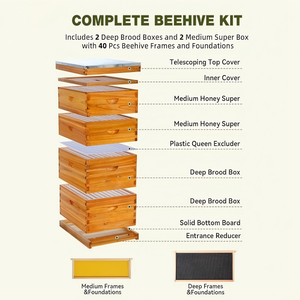 Colmena Langstroth de 3 niveles de madera de abeto con 30 cuadros y techo metálico para abejas mielíferas - Product Image 3