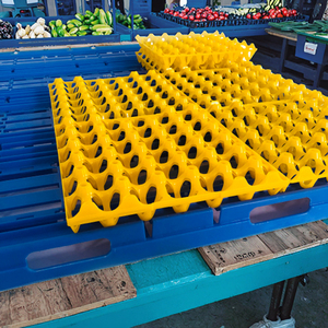 Durable Mesh Style Plastic Egg Shakers Stackable Transport <strong>Packing</strong> <strong>Crates</strong> and Grille Egg Trays for Savings - Product Image 2