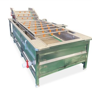 Machine à laver à bulles en acier inoxydable pour usine de transformation des fruits et légumes avec moteur et pompe - Product Image 5