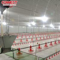 Éleveur industriel automatique de pondeuses d'œufs de volaille Système de ligne de production d'installations d'élevage de poulets de chair pour bâtiment de ferme de poulet