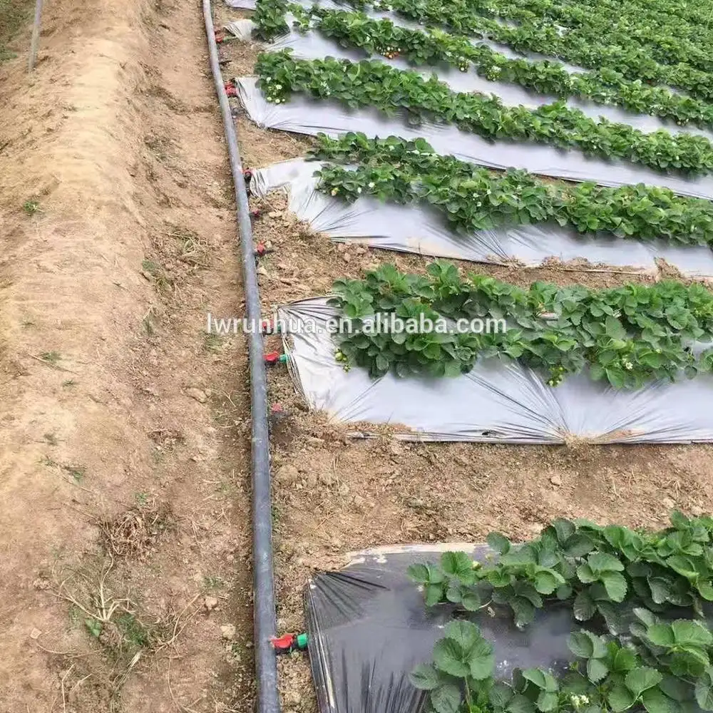 Professionele Fabrikant Landbouw Micro Farm Druppelirrigatie Systeem