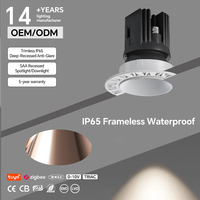 Luminaire encastré sans cadre de haute qualité pour bijouterie, lampe LED COB 10W étanche IP65