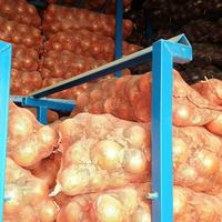 Cebolla Roja y Amarilla Fresca de Nueva Cosecha 2026, Tamaños de 5-8 cm, Bolsa de Malla/Caja de Cartón de 10 kg/20 kg, Precio de Mayoreo Directo de Fábrica