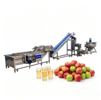 Volledig automatische sap productielijn, complete commerciële verwerkingsapparatuur voor het wassen, vermalen en sap maken van vers fruit
