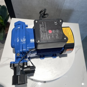 Pompe à eau électrique auto-amorçante domestique 2023 - Product Image 5