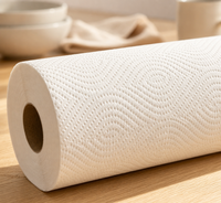 2-lagiges, weiches, saugfähiges, waschbares Küchenpapier aus reinem Zellstoff, umweltfreundlich, für die Reinigung, kernlose Rolle