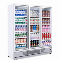 Réfrigérateur commercial à 3 portes avec refroidissement par air, grande capacité, pour jus et eau, supermarché, LED, dégivrage automatique, R290