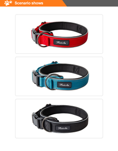 <span class=keywords><strong>Collar</strong></span> de nailon para perro, accesorio no elástico, duradero y ligero, reflectante, acolchado, de entrenamiento, de lujo - Product Image 6