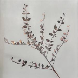 KEWEI-C001 Fleurs artificielles d'hortensia et de tournesol, style rustique vieilli, pour <span class=keywords><strong>l</strong></span>'automne, vente en gros - Product Image 5