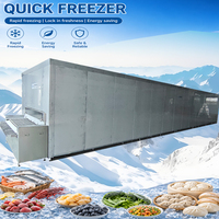 Congélateur IQF à très basse température (-40°C) ° C) |   Minimise la formation de cristaux de glace |   Préserve la structure cellulaire et prolonge la durée de conservation