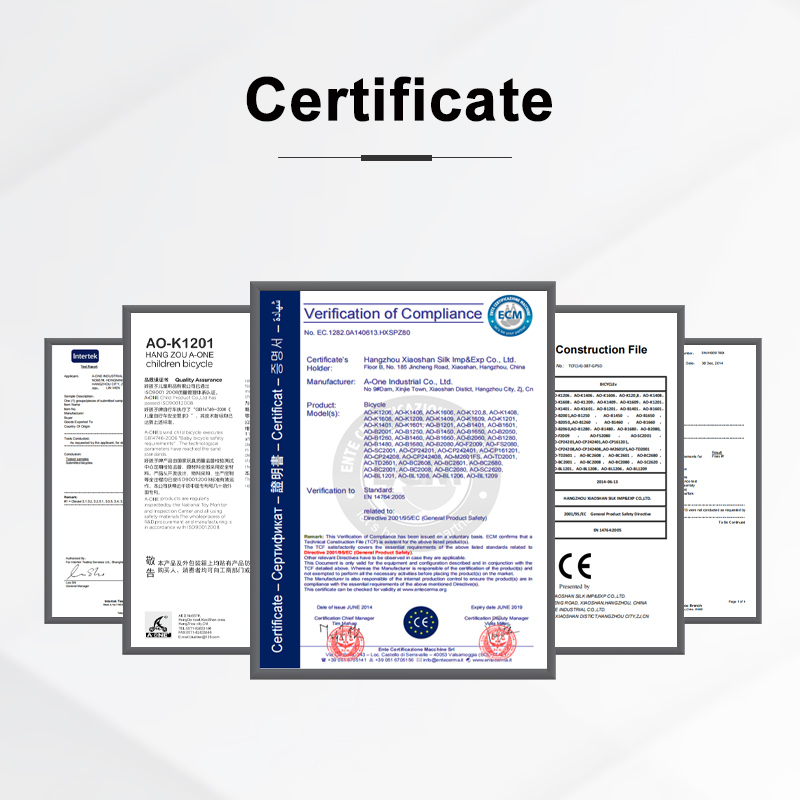 Custom Freestyle BMX Bike - Professional Design & Quality