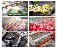 Volautomatische Groente Fruit Sorteren Snijden Wassen Drogen Verwerkingslijn Fruitgroente Wasmachine Verwerkingsmachines