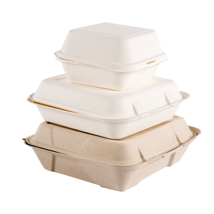 Biodegradable Food Container Disposable Take Away Lunch Packing Pla Corns Tarch Clamshell Bento Lunch Box