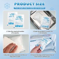 Pack de glace sèche en gel pour glacière alimentaire jetable en plastique personnalisable avec logo, feuille de congélation avec logo pour boîte à lunch
