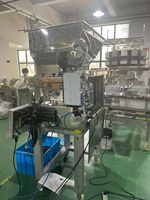 Balance pondérale linéaire à 2 têtes pour granulés alimentaires, haute précision, fabriquée en Chine, pour ensachage automatique de film, papier et sacs d'énergie