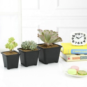 Maceta Duradera de Plástico Negro Clásico para Bonsái, Maceta para Plantas de Vivero con Orificio de Drenaje, Maceta Cuadrada para Plantas Suculentas de Jardín - Product Image 2