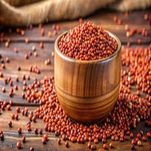 Offre Spéciale : Grains de Sorgho Rouge Séché 100% Naturel pour Usage Industriel, Fabrication de Bière, Farine Alimentaire, Alimentation Bovins et Volailles, Source d'Énergie, Vente en Gros - Product Image 4