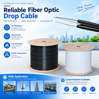 Câble de branchement FTTH Fibre Optique G657A2 1km 2 Cœurs LSZH Extérieur Aérien Vente Directe Usine Professionnel Industriel