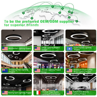 Lampes suspendues en fer LED à hauteur réglable de style industriel en forme de C, 6000K, lumière du jour, AC 220V, protection des yeux pour salon intérieur