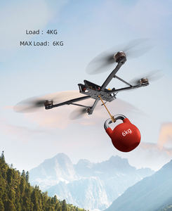 Kit de télécommande pour voiture de course FPV 10 pouces FPVBNF avec 6SF465AESC, protection de sécurité à télécommande peu coûteuse - Product Image 6