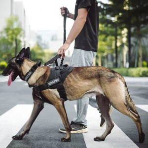 大型犬のペットハーネスの首輪とリーシュプルなしトレーニングの戦術的なステップは、ハンドルで格納式の反射サービスデザイナーを主導しました - Product Image 2