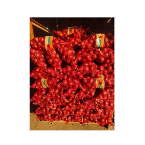 Fournisseur en gros d'oignons frais en Chine exportation d'oignons rouges de haute qualité oignon rond de Shandong - Product Image 2