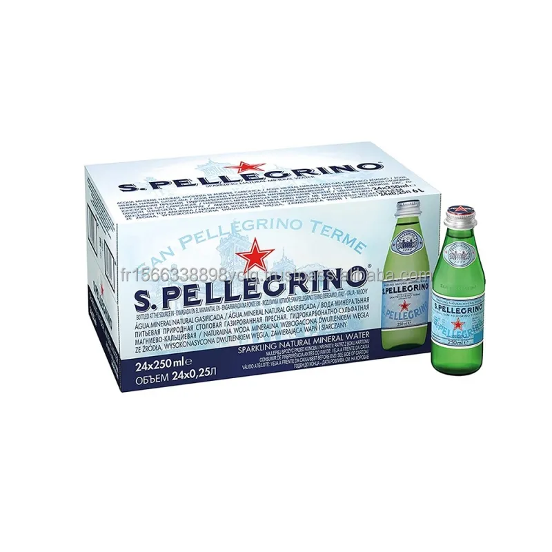 San Pellegrino italienisches natürliches mineralwasser mit Schaum 12 Ct 1 L Glas B - Executive Drink