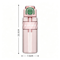 Bouteille d'eau sport en plastique 750 ml avec couvercle à paille 2-en-1, gourde portable anti-fuite pour fitness en extérieur