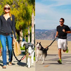 New Reflective Shrinkable Dog Leash Nylon Jogging Collar <b>Pet</b> Dogs <b>Running</b> Traction Rope - Product Image 4