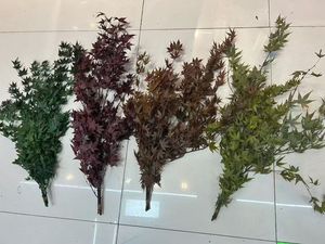 Hojas de Arce Decorativas para el Hogar, Color Rojo, Plantas Naturales con Hojas de Arce Inmortales para una Preservación Prolongada - Product Image 6