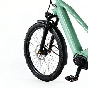 Vélo cargo électrique vintage CE le plus vendu, 48V 85Nm 9 vitesses 11-38T, aussi agile qu'il soit stable - Product Image 4