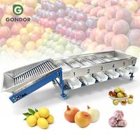5 ton/uur granaatappel, knoflook, kleine dadelpompoen, bolvormige vruchten sorteermachine op gewicht en wassing