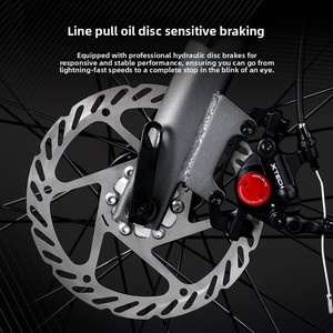 <span class=keywords><strong>Vélo</strong></span> de route tout-terrain Lanling en alliage d'aluminium ultra-léger pour hommes, femmes et étudiants, 10 vitesses, frein à disque, fourche à suspension - Product Image 4