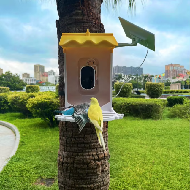 2024 Newest Hot Selling Smart Bird Feeder With Camera WIFI Enabled, Outdoor AI Bird Species Identification