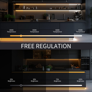 Feican 24V <span class=keywords><strong>LED</strong></span> Neon dải ánh sáng dual-nhiệt độ màu USB kết nối điều khiển bằng giọng nói chiếu sáng trong nhà trang trí đèn nhựa - Product Image 2