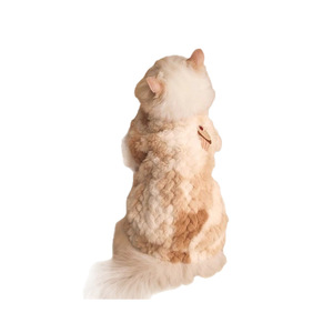 Gilet Invernale per Gatti Stile Carino e Caldo, Antivento, con Motivo Cupcake Sfumato Argento per Gattini British Shorthair - Product Image 1
