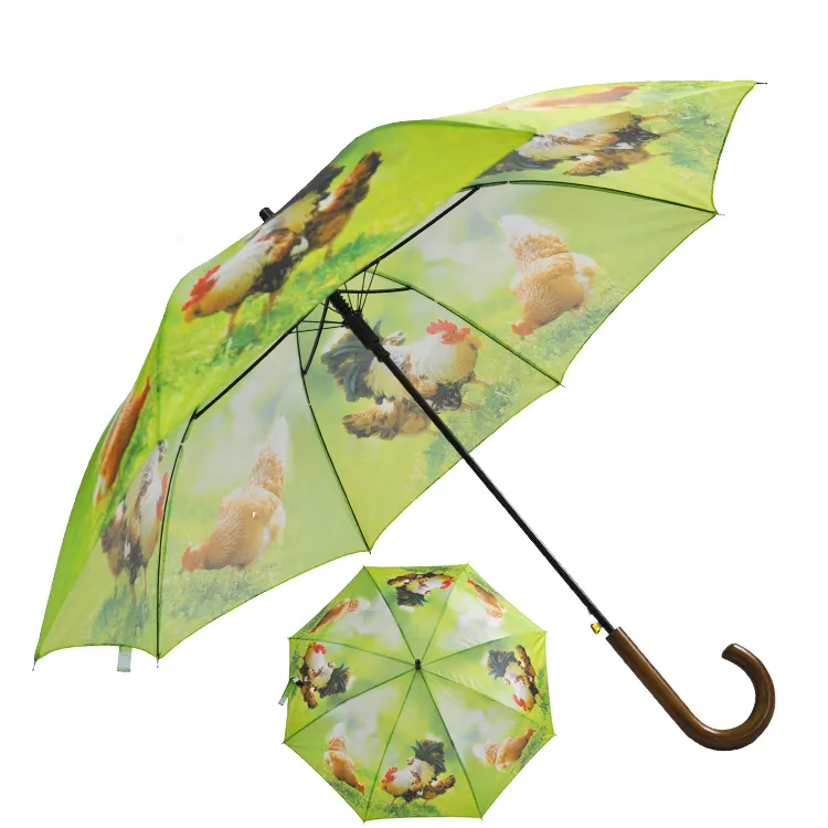 Parapluie droit et Long avec poignée en bois, plusieurs couleurs, pour la chasse