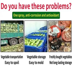 Soluzione Nutritiva per Conservazione di Frutta e Verdura in Orticoltura - Product Image 2